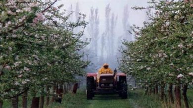 Photo of Utilisations du polysulfure de calcium en agriculture