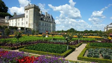 Photo of Quelles sont les caractéristiques d’un jardin à la française?