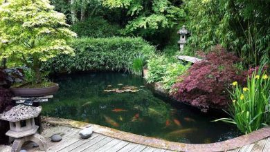 Photo of Jardin japonais: beauté unique et style classique