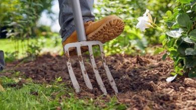 Photo of Outils indispensables pour l’entretien du jardin