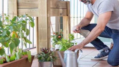 Photo of 5 conseils pour aménager un jardin urbain sur votre terrasse