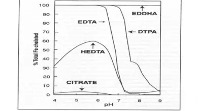 Photo of Guide d’utilisation du chélate de fer pour vos plantes