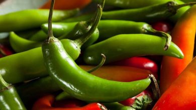 Photo of 5 astuces essentielles pour faire pousser du piment serrano